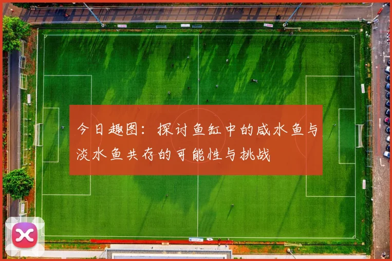 今日趣图：探讨鱼缸中的咸水鱼与淡水鱼共存的可能性与挑战