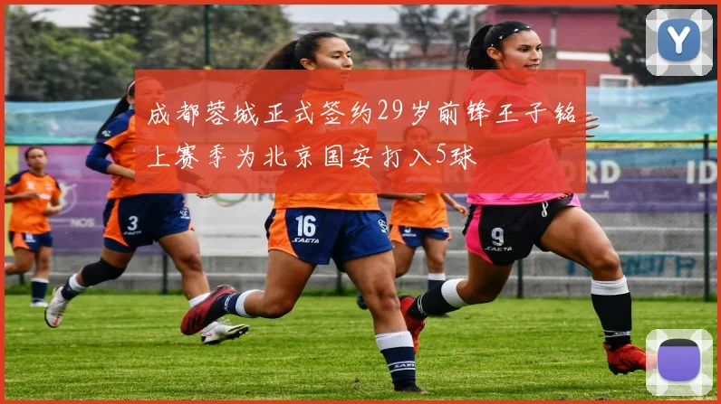 成都蓉城正式签约29岁前锋王子铭上赛季为北京国安打入5球
